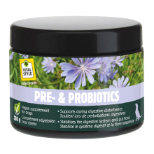 Vitalstyle Hond Pre & Probiotics 200 gr