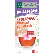 12X Damhert Wellbeing Thee Stoelgang 20 stuks