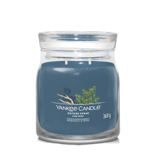 4X Yankee Candle Geurkaars Medium Jar Bayside Cedar Signature 368 gr