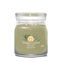 4X Yankee Candle Geurkaars Medium Jar Sage & Citrus Signature 368 gr