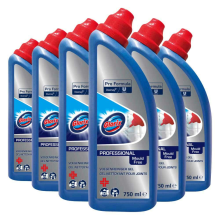 6X Glorix Professional Voegenreiniger Pro Formula 750 ml