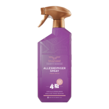 6X Bruynzeel CH Allesreinigerspray Fresh Wood 500 ml