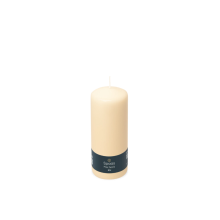 12X SPAAS Cilinderkaars Ivoor 60/150 mm ± 45 branduren