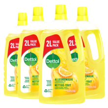 4X Dettol Allesreiniger Power & Fresh Citroen 2 liter