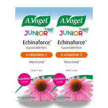 A Vogel 2x A.Vogel Junior Echinaforce met Vitamine C 80 kauwtabletten