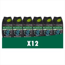 12X Palmolive Men 3 in 1 Body Face Hair Refreshing Etherische Eucalyptusolie Zeezoutextract 250 ml