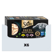 6X Sheba Kattenvoer Nat Filets Kip & Zalm in Saus Multipack 6x60 gr