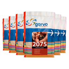 Whirlpool 6x Garvo Vogelvoer Alfastart Pride (207510) 1 kg