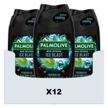 12X Palmolive Men Douchegel 5in1 Ice Blast 250 ml