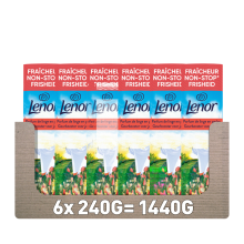 6X Lenor In wash Geurbooster Zonnige Lentedag 19 wasbeurten 240 gr