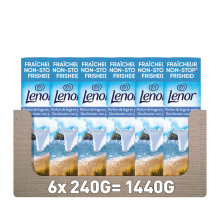 6X Lenor In wash Geurbooster Zomerbries 19 wasbeurten 240 gr