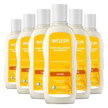 6X WELEDA Haver Herstellende Shampoo 190 ml