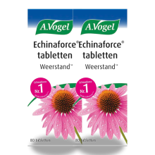 A Vogel 2x A.Vogel Echinaforce Weerstand 80 tabletten
