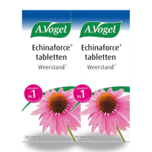 A Vogel 2x A.Vogel Echinaforce Weerstand 200 tabletten
