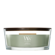 2E halve prijs: WoodWick Verdant Fig Ellipse Candle Groen