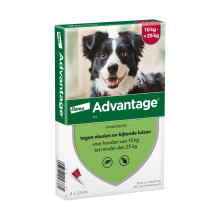 2X Advantage Anti Vlooiendruppels 250 Hond 10   25 kg 4 pipetten