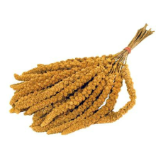 Vitakraft Trosgierst 300 gr