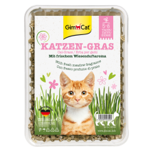 12X GimCat Kattengras 150 gr