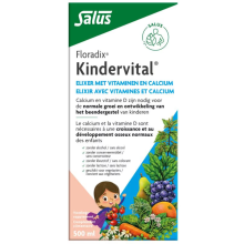 2X Floradix Kindervitalus 500 ml