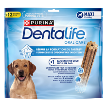 DentaLife Hondensnack Kauwstaaf Large 25   40 kg 12 stuks