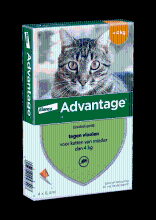 Advantage 40 kat 4 pipetten < 4 kg