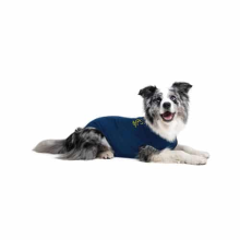Medical pet shirt Medical Pet Shirt XXS ZEBRAPRINT (33   42 cm)