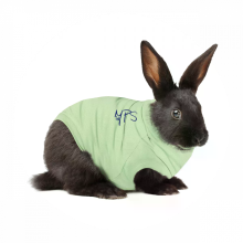 Medical pet shirt Medical pet shirt konijn XS (1,6   2,0 kg)