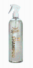 Rapide Rapide Spray Shampoo