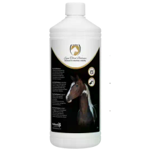 Excellent Excellent Equi Total Balance