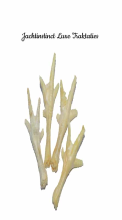 Jachtinstinct Jachtinstinct Dierenvoeding   250g Kippenpootjes honing