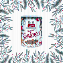 Brit petfood Brit Care Christmas Salmon snacks for cats