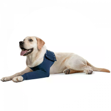 Medical Pet Shirt Medical pet shirt 2XL