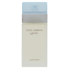 Dolce & Gabbana Light Blue eau de toilette spray 25 ml