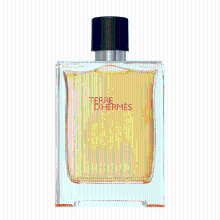 Hermès Terre d'Hermes eau de toilette spray 100 ml