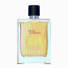 Hermès Terre d'Hermes eau de toilette spray 50 ml