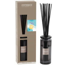 Esteban Classic Ylang Ylang Geurstokjes Initial 75 ml