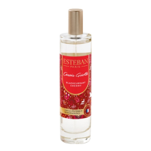 Esteban Blackcurrant Cherry Roomspray 50 ml
