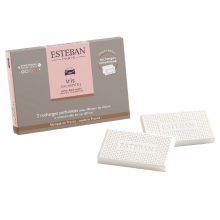 Nutram Esteban Classic Iris Cachemire Autoparfum navulling (2 stuks)