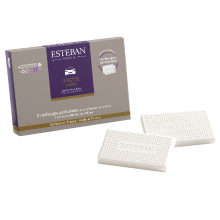 Esteban Classic Figue Noire Autoparfum navulling (2 stuks)