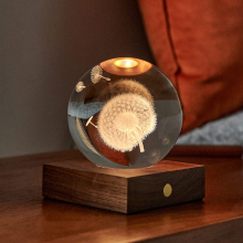 Gingko Amber Crystal Light 3D Laser Paardebloem