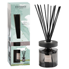 Esteban Classic Pur Lin Geurstokjes Ellipse 200 ml