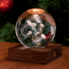 Gingko Amber Crystal Light 3D Laser Kwallen