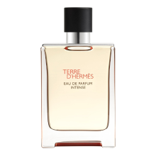 Hermès Terre d'Hermes eau de parfum intense spray 100 ml (navulbaar)