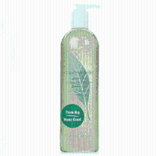 Elizabeth Arden Green Tea showergel 500 ml