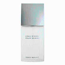 Issey Miyake L'Eau d'Issey pour homme eau de toilette spray 125 ml