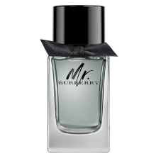 Mr. Burberry eau de toilette spray 50 ml