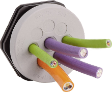Icotek KEL DPZ 63/13 Kabeldoorvoeringsplaat Montagegat: M63 Klem Ø (max.): 16.2 Mm Polyamide, Elastomeer Grijs 1 stuk(s)