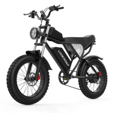LOOKROAD L20 Elektrische Fiets, 48V 20Ah Batterij, 1500W Motor, Aanbevolen Topsnelheid 25KM/U, Snelheidsensor, Hydraulis
