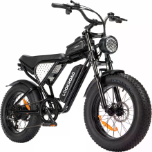LOOKROAD L20 Elektrischefiets, 48V 15.6Ah Accu, 1000W Motor, Aanbevolen topsnelheid 25KM/U, Snelheidsensor, Mechanische