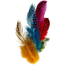 Merkloos 100x Gekleurde parelhoen veren   Vogel decoratie veertjes   hobby veren